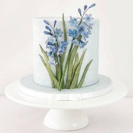 Sugar Bluebells