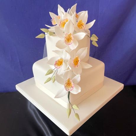 Cake decorated with sugar orchids