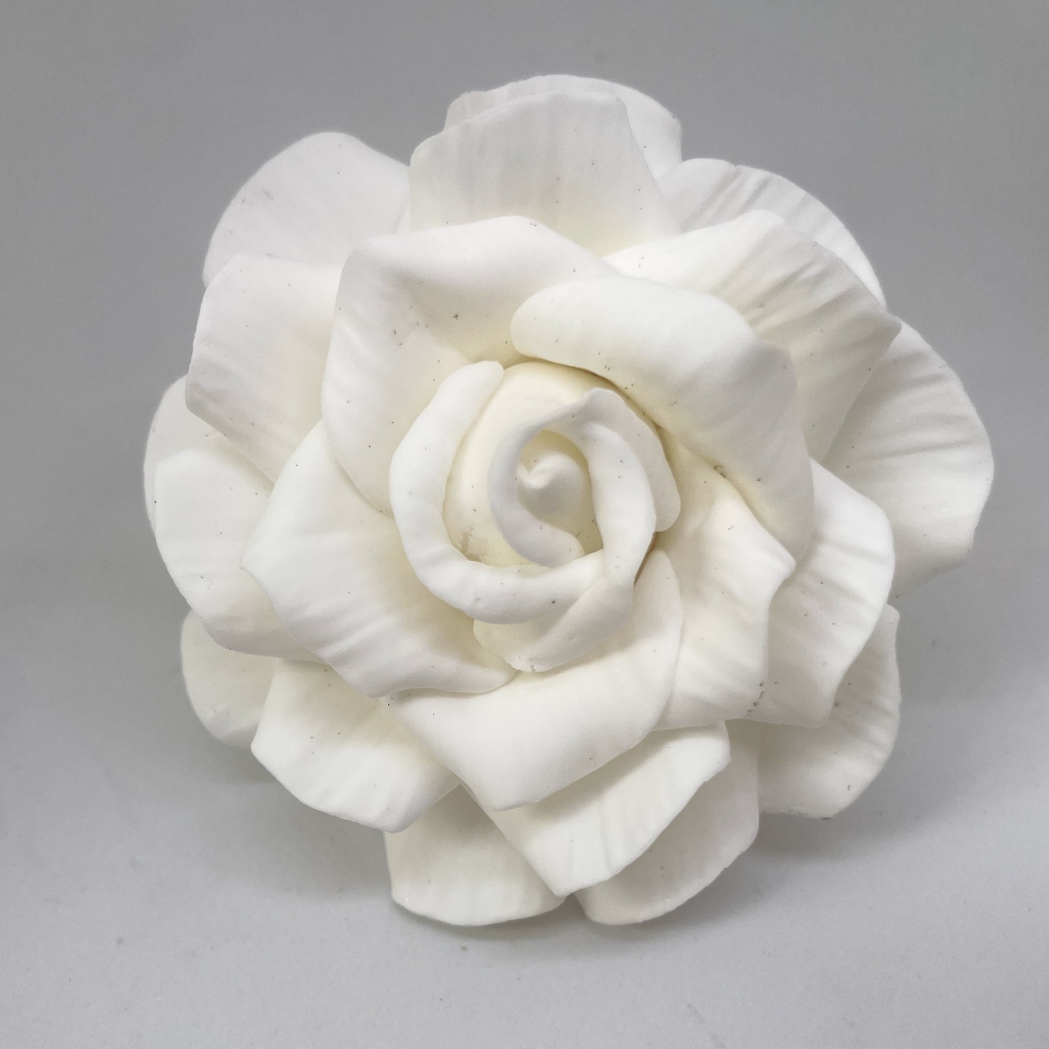 Giant White Sugar Rose