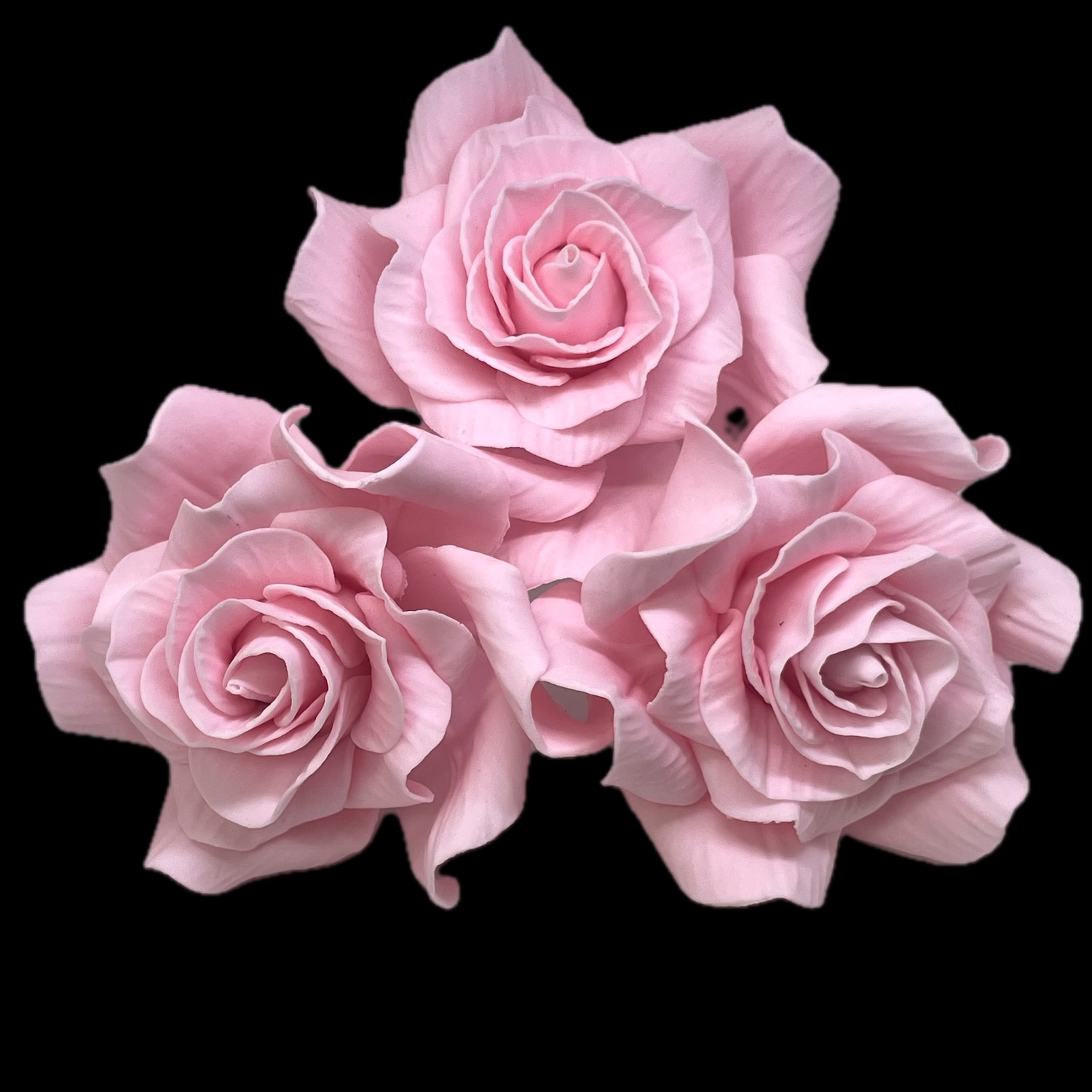 Giant Baby Pink Sugar Roses