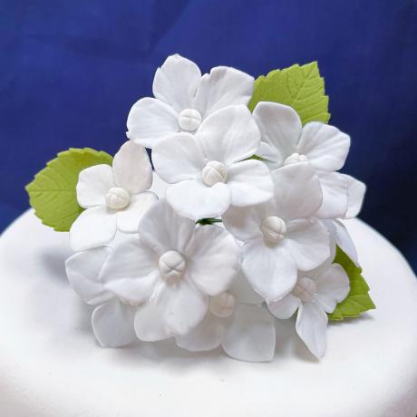 Hydrangea Large Bouquet