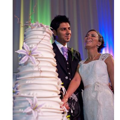 Cake Cutting