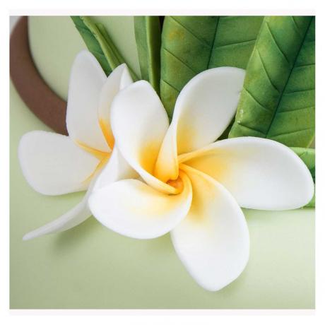 Sugarcraft Frangipani