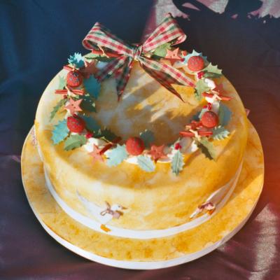 Thanksgiving Style Christmas Cake