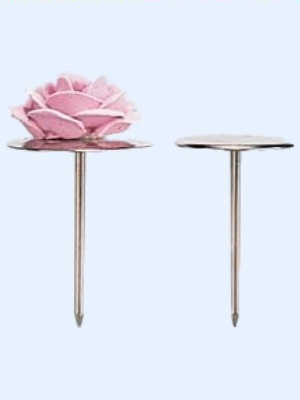 Flower Icing Nail