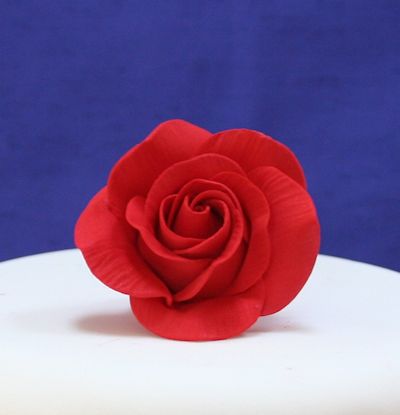 Red Sugar Rose