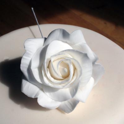White Sugar Rose