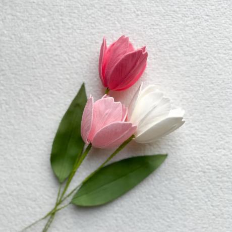 Sugarcraft Tulips